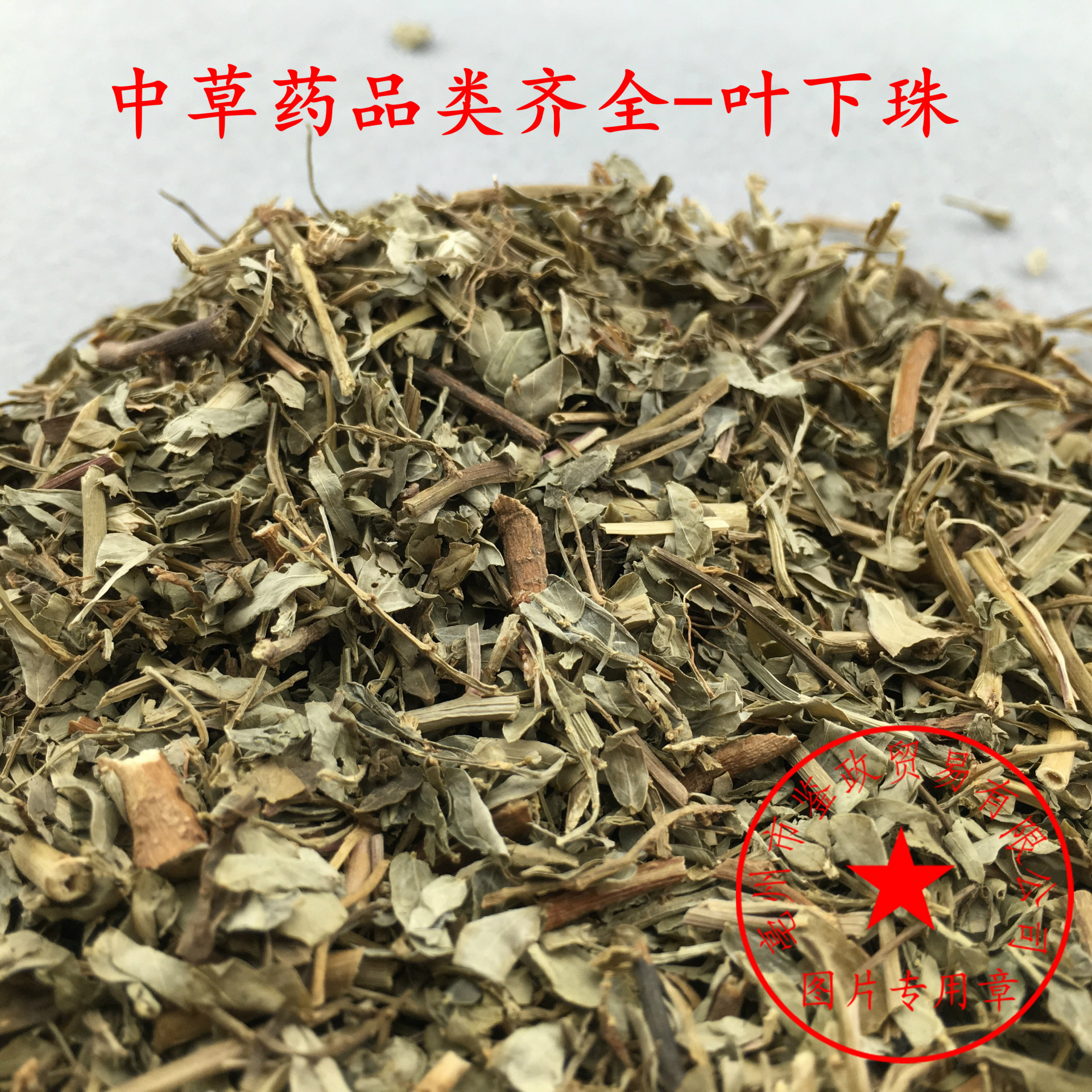 批发中药材 叶下珠 珍珠草 叶后珠 十字珍珠草