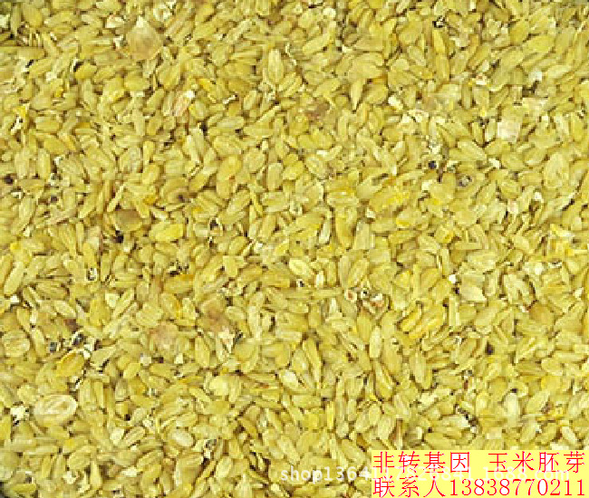 【行业新闻】 - 玉米胚芽油未来将成油类时尚新宠