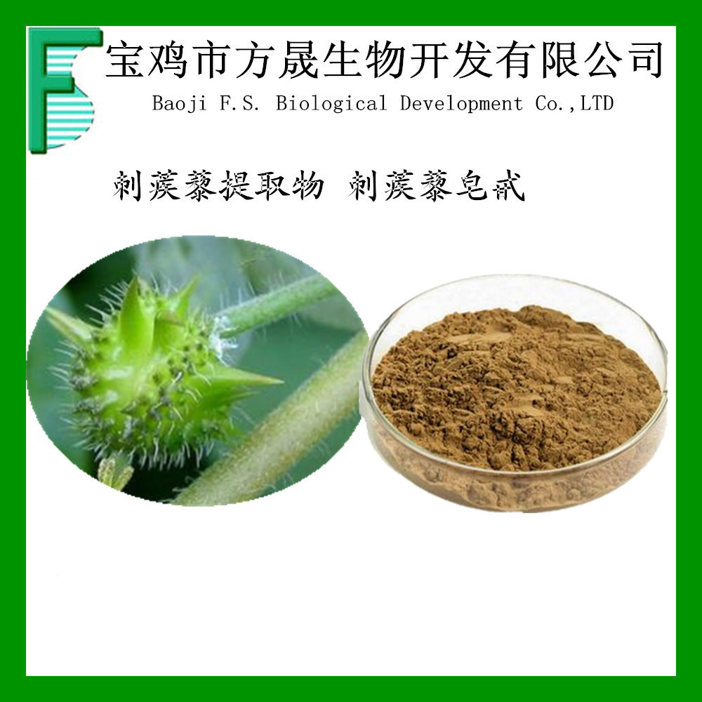 刺蒺藜提取物 刺蒺藜皂甙90% 现货库存