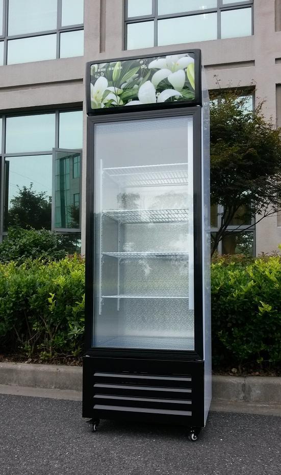 单门立玻柜立式保鲜柜饮料柜玻璃门冷餐柜蔬菜展示柜冰箱陈列柜