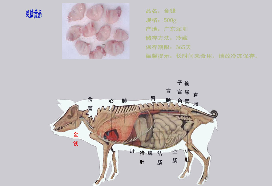 厂家直销 新鲜 冷冻 猪金钱