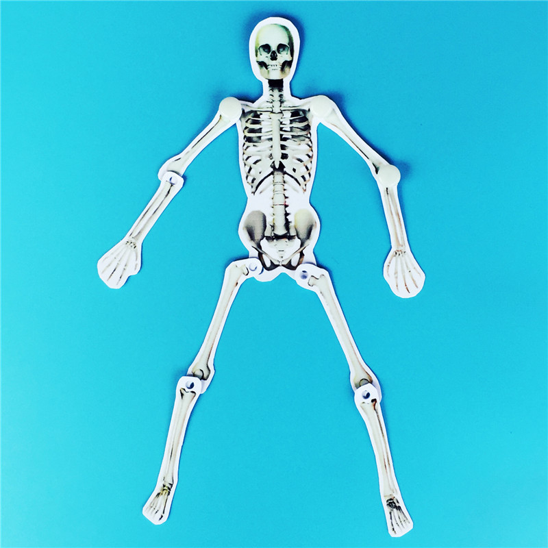 diy人体骨骼模型儿童幼儿创意制作学具益智玩具拼装科学探索教具