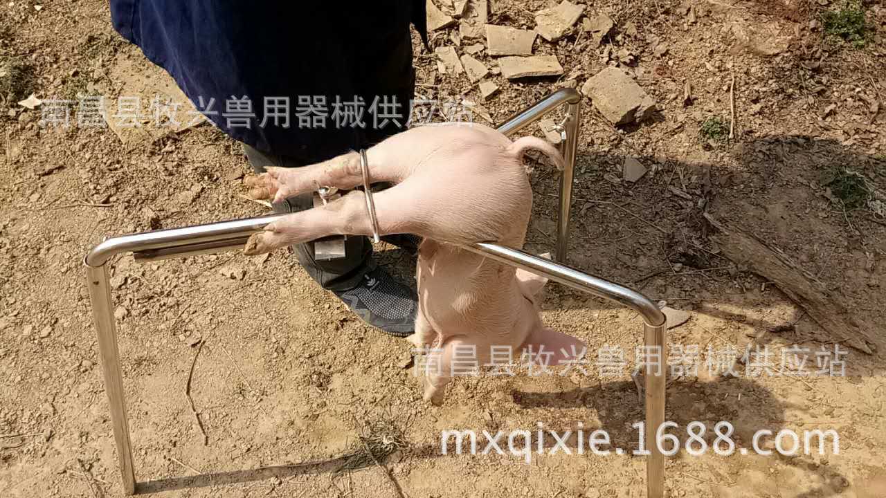 厂家不锈钢阉猪架阉割台阉仔猪器三脚阉猪架三脚阉猪台倒挂阉猪器