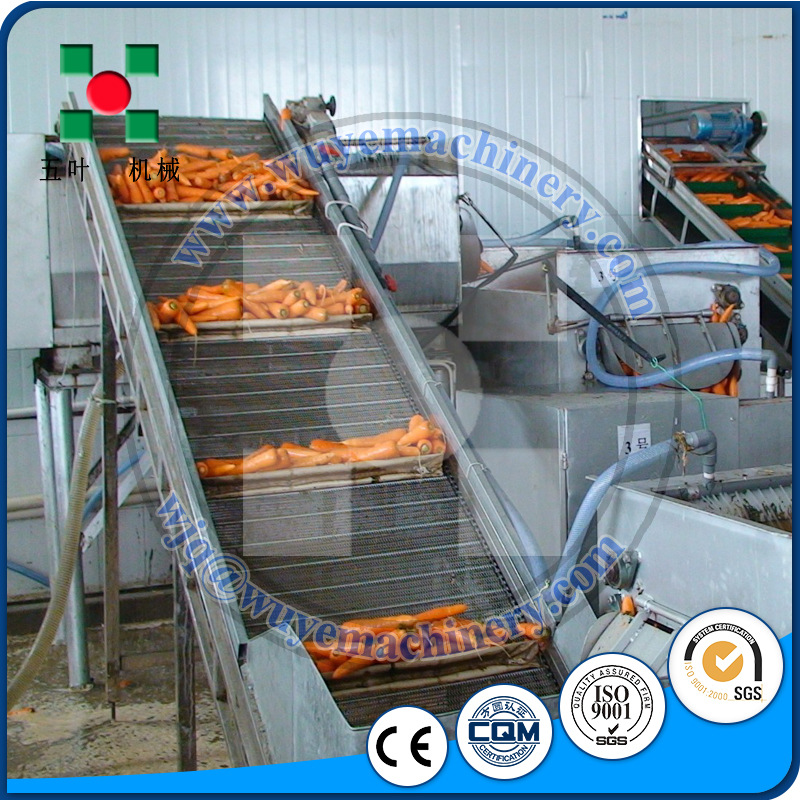 蔬菜速冻生产线 果蔬速冻前处理设备 胡萝卜生产线wjq