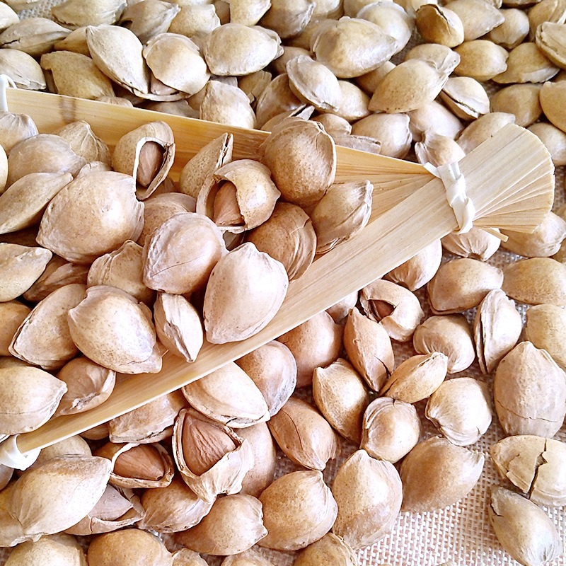 供应休闲食品开口小银杏核