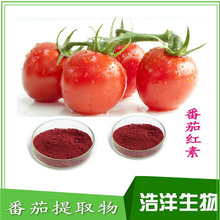 番茄红素10% 5% 番茄提取物 番茄粉 浩洋生物