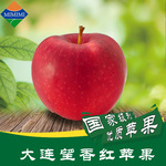 瓦房店红富士苹果