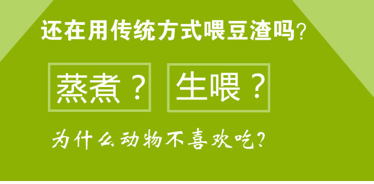 豆渣发酵