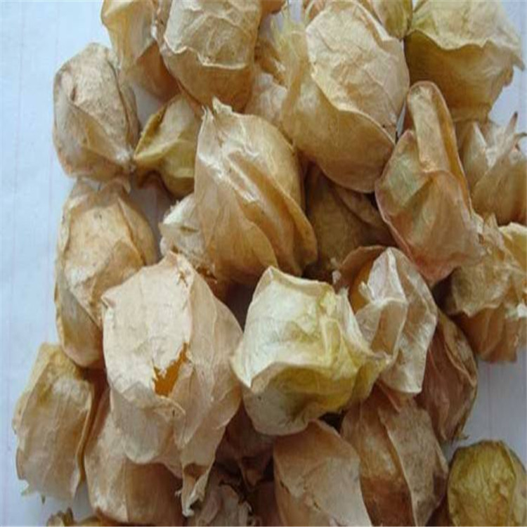 阳台盆栽水果种子 甜菇娘种子姑娘儿种子菠萝果种子 酸浆种子20粒