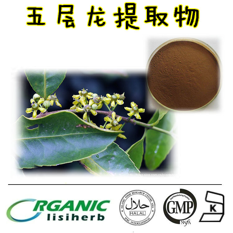 供应五层龙提取物 10:1优质五层龙粉 五层龙提取物