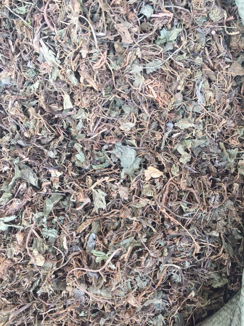 亳州中药材批发 散装积雪草 厂家直销 一手货源 继午药业 积雪草