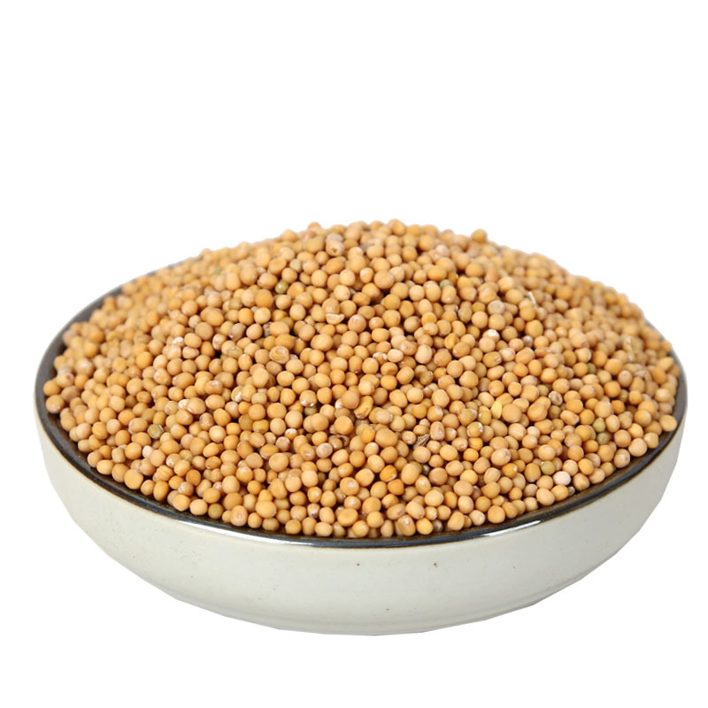 白芥子批发中药材白芥子大货 量大从优籽子药材白芥子初级农产品