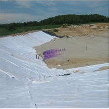 东莞厂家直销土工布100g 滤水透水无纺布公路养护园林绿化保湿毯
