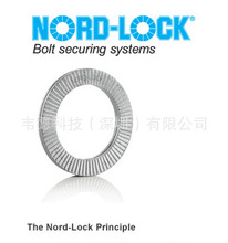 现货供应 NORD-LOCK防松自锁垫圈 DIN25201洛帝牢双叠自锁垫片