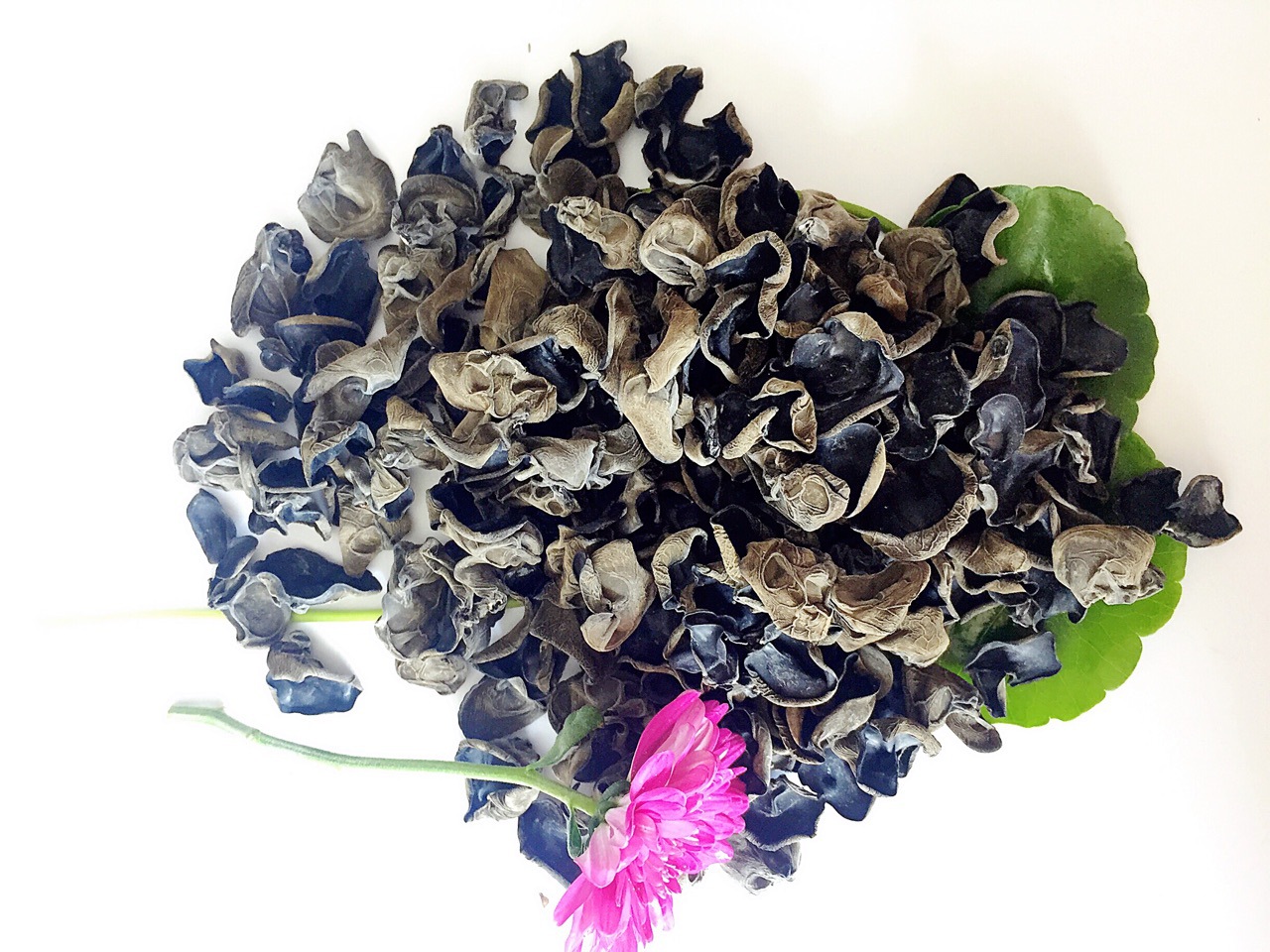 17年新货单片黑木耳干木耳批发