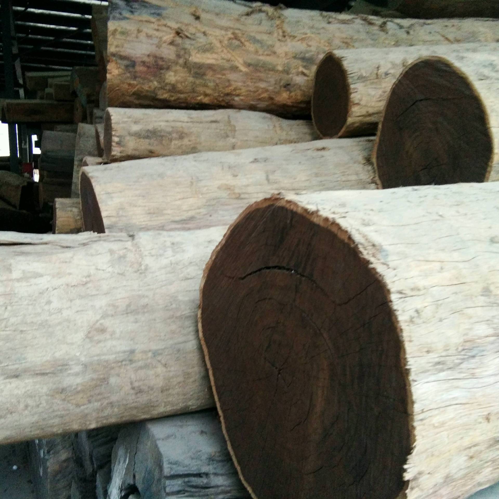 张家港原木 所罗门大叶紫檀 现货供应 价格优惠