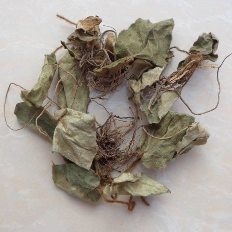 中药材 兔耳风 杏香兔耳风 兔耳草 朝天一支香 扑地金钟