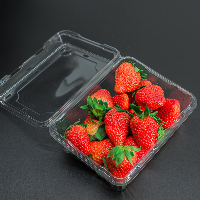 批发一次性塑料盒 一斤装草莓透明水果盒吸塑食品包装盒果蔬用