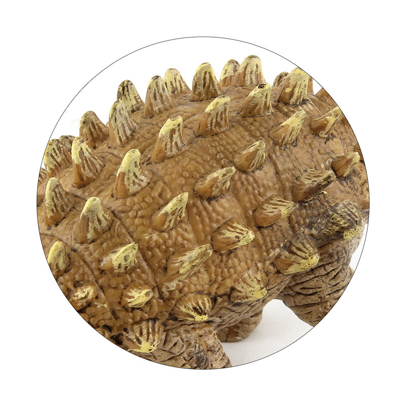 6米.美甲龙的头顶,以及身体的两侧具有长尖刺,尾巴末端具有尾槌.