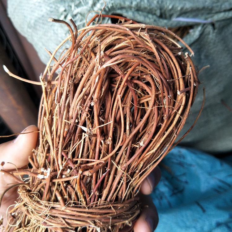 批发野生鸡骨草 藤叶农家特产鸡骨草花草相思叶 广东煲汤料 500g