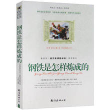 钢铁是怎样炼成的-新概念新课标新阅读 洛夫斯基 中小学生q