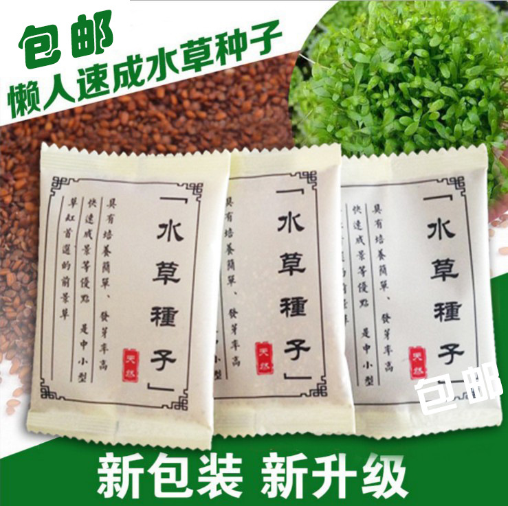 水草种子鱼缸造景水草种子无需co2水草种子水草籽发芽快包活好养