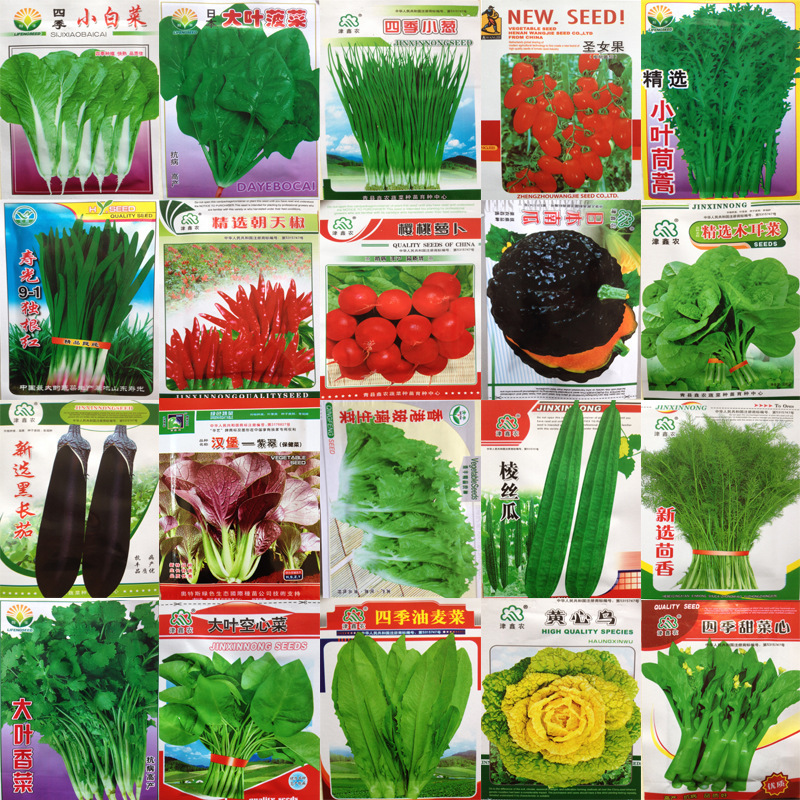 四季蔬菜种子套餐蔬菜种子盆栽菠菜韭菜香菜生菜茼蒿萝卜小葱番茄