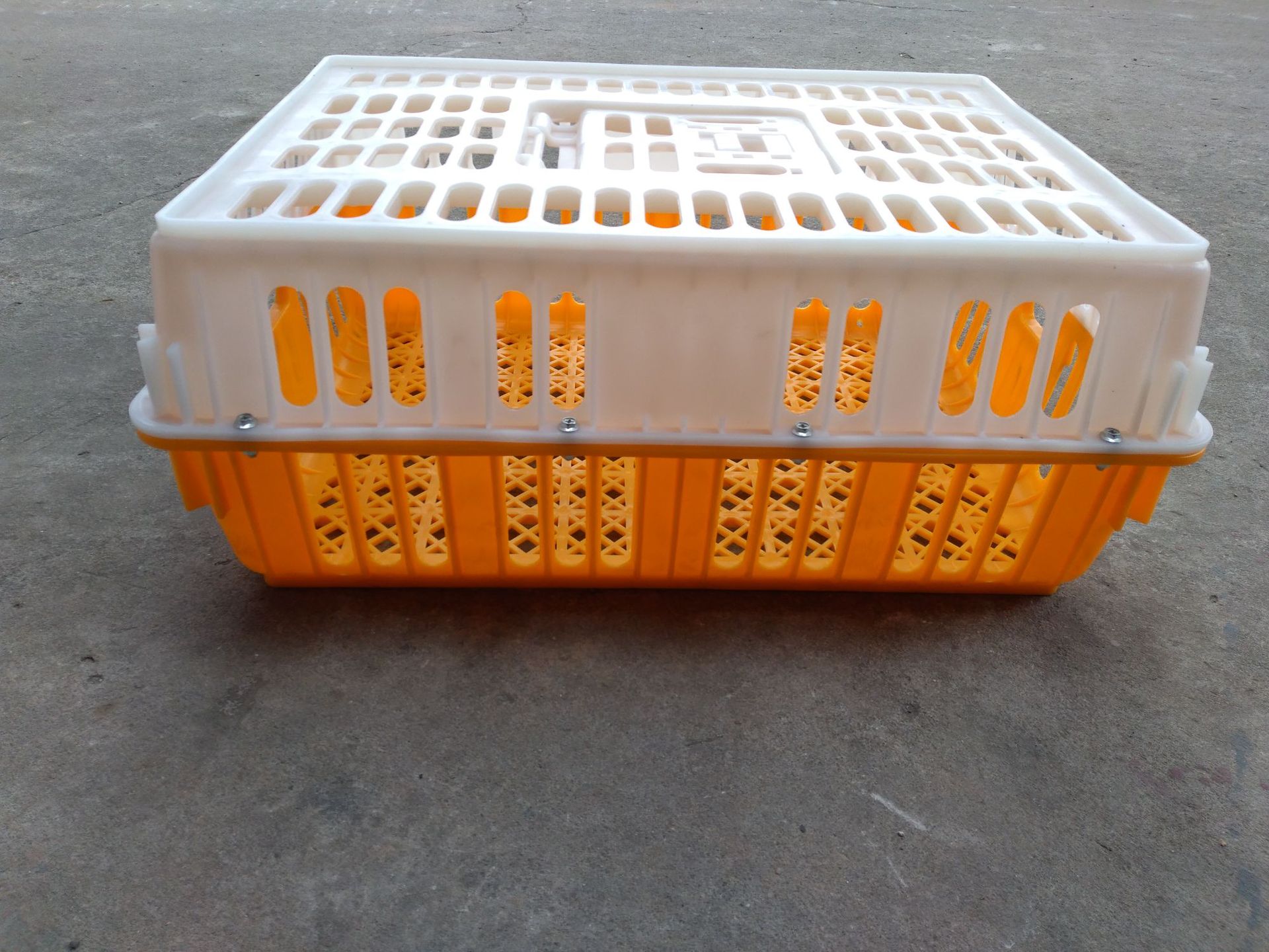 厂家直销鸡笼养殖笼鸡鸭运输专用笼塑料鸡笼鸡鸭鸽兔专用塑料