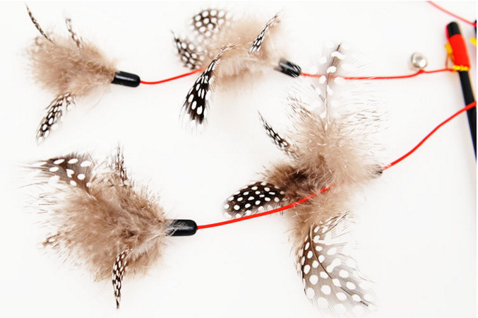 工厂珍珠鸟逗猫棒两层羽毛松紧绳带铃铛猫咪爱玩的玩具