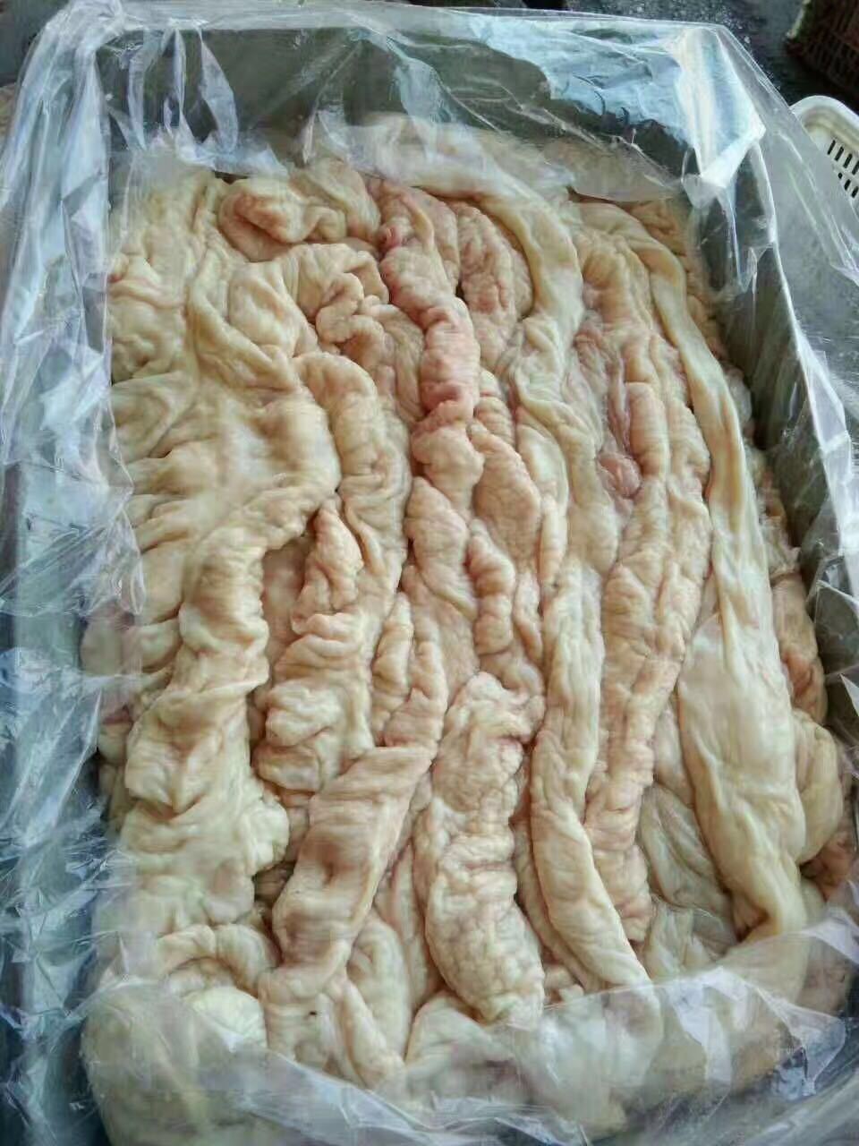 临沂厂家批发 新鲜冷冻猪大肠 小肠猪爪 猪蹄子 猪副产品欢迎选购