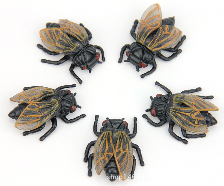 仿真知了蝉模型昆虫塑胶动物儿童玩具早教整蛊摄影道具教具批发
