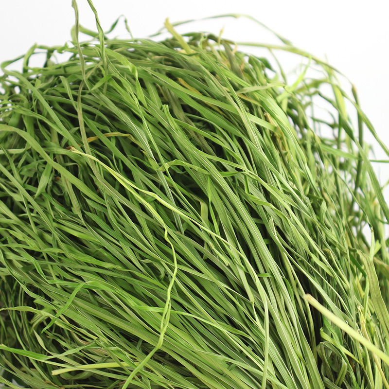 预订2020烘烤果树草兔草兔子荷兰猪粮草龙猫主粮可替代提摩西