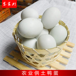 高新区客家村农产品商贸部  第1年   主营产品:鸡蛋鸭蛋鸽子蛋野鸡蛋