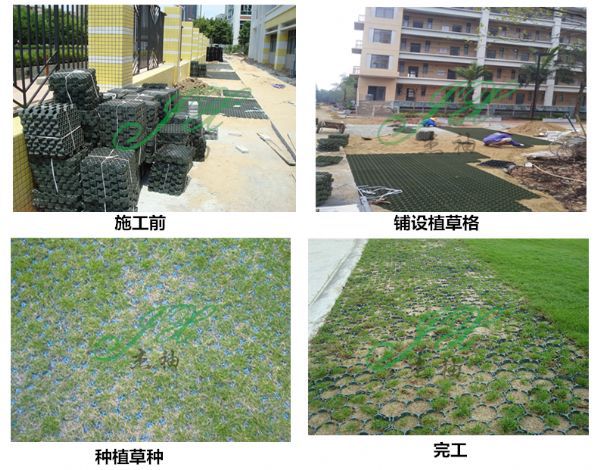 贵州厂家直销3 4 5厘米停车场植草格 楼顶工程绿化植草格室