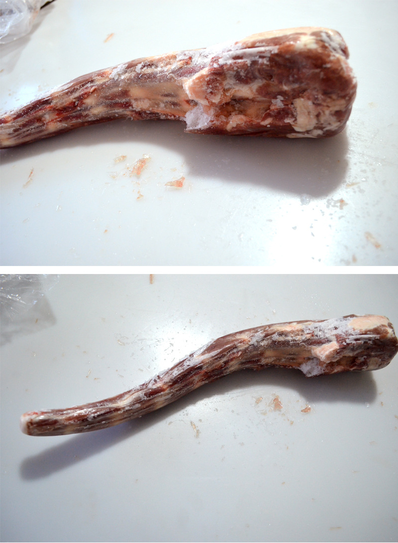 新鲜冷冻 牛尾 冷冻牛尾骨 生牛肉 冷冻牛肉 工厂直供批发