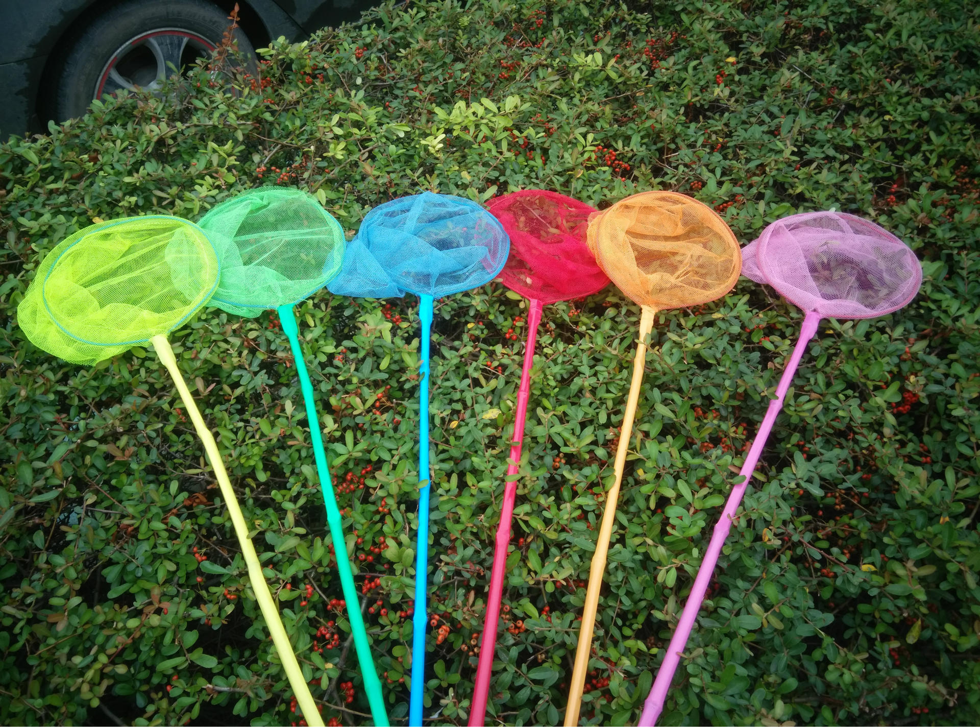 2米竹制渔网 鱼网渔具 抄网 捕虫网 昆虫网