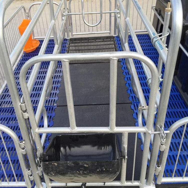 泊头佳昊供应母猪产床仔猪用塑料料槽 仔猪壁挂式料槽 养猪设备