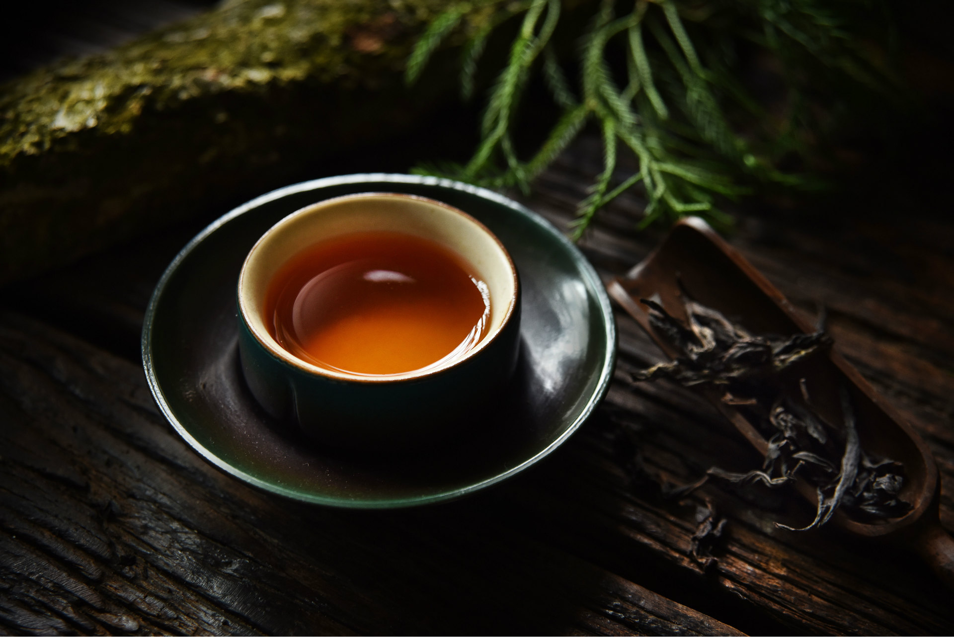 (转载)这么多茶客喜爱的 老枞水仙 究竟是什么?