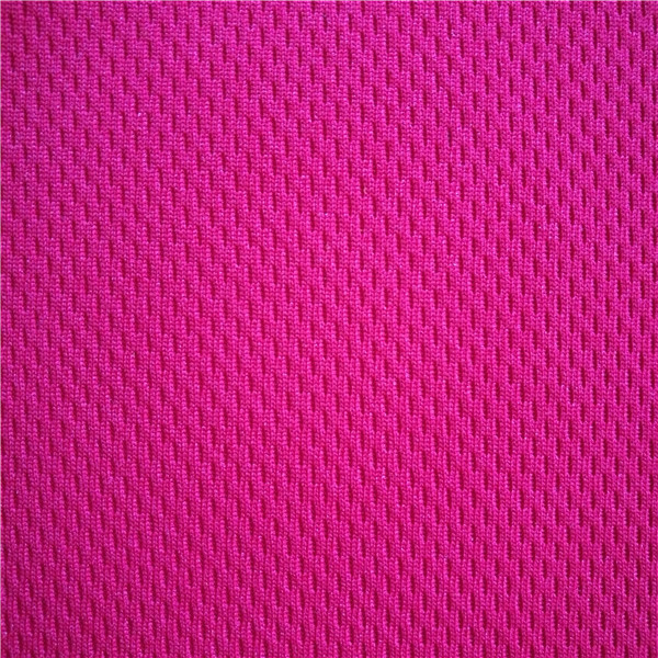 230g 硬挺鸟眼网布-100d 150d针织纬编鸟眼面料