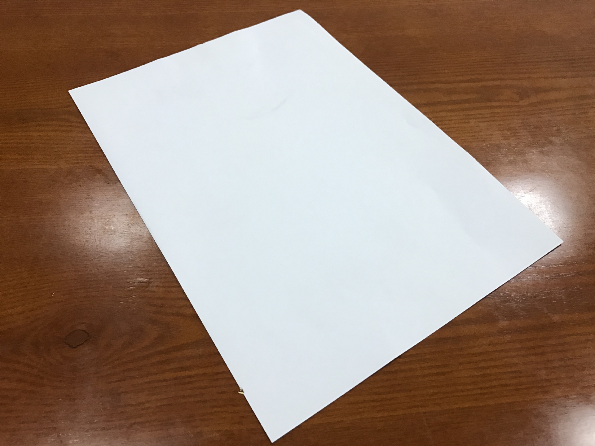 a4不干胶铜版纸 书写纸空白条码标签纸 卷筒双排标签贴 厂家定做