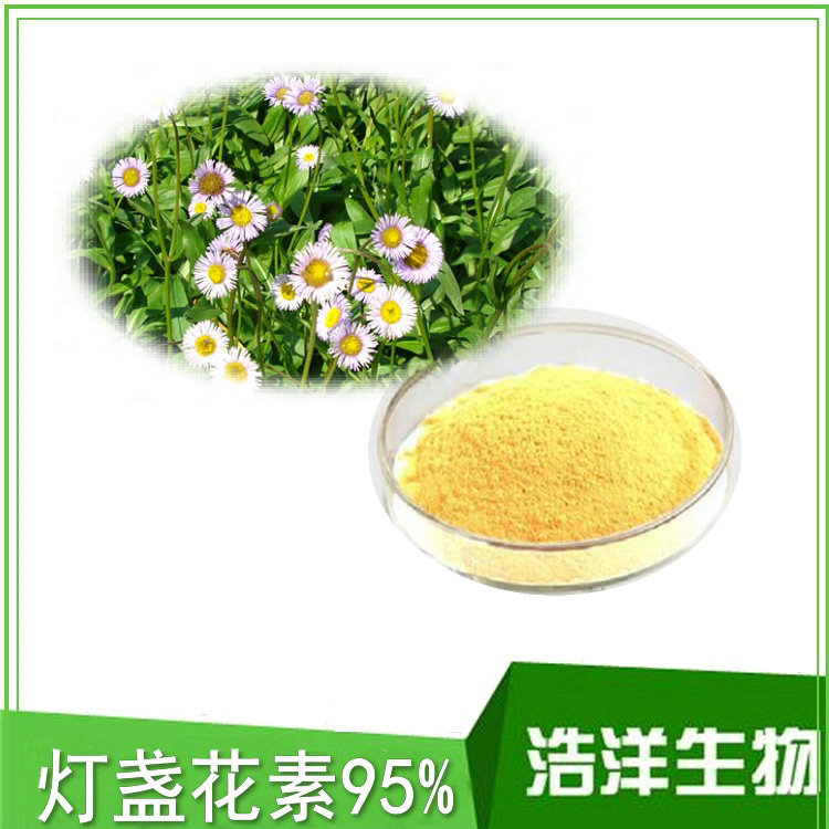灯盏花素95% 药典标准83%灯盏花乙素 野黄芩苷甙90% 浩洋生物