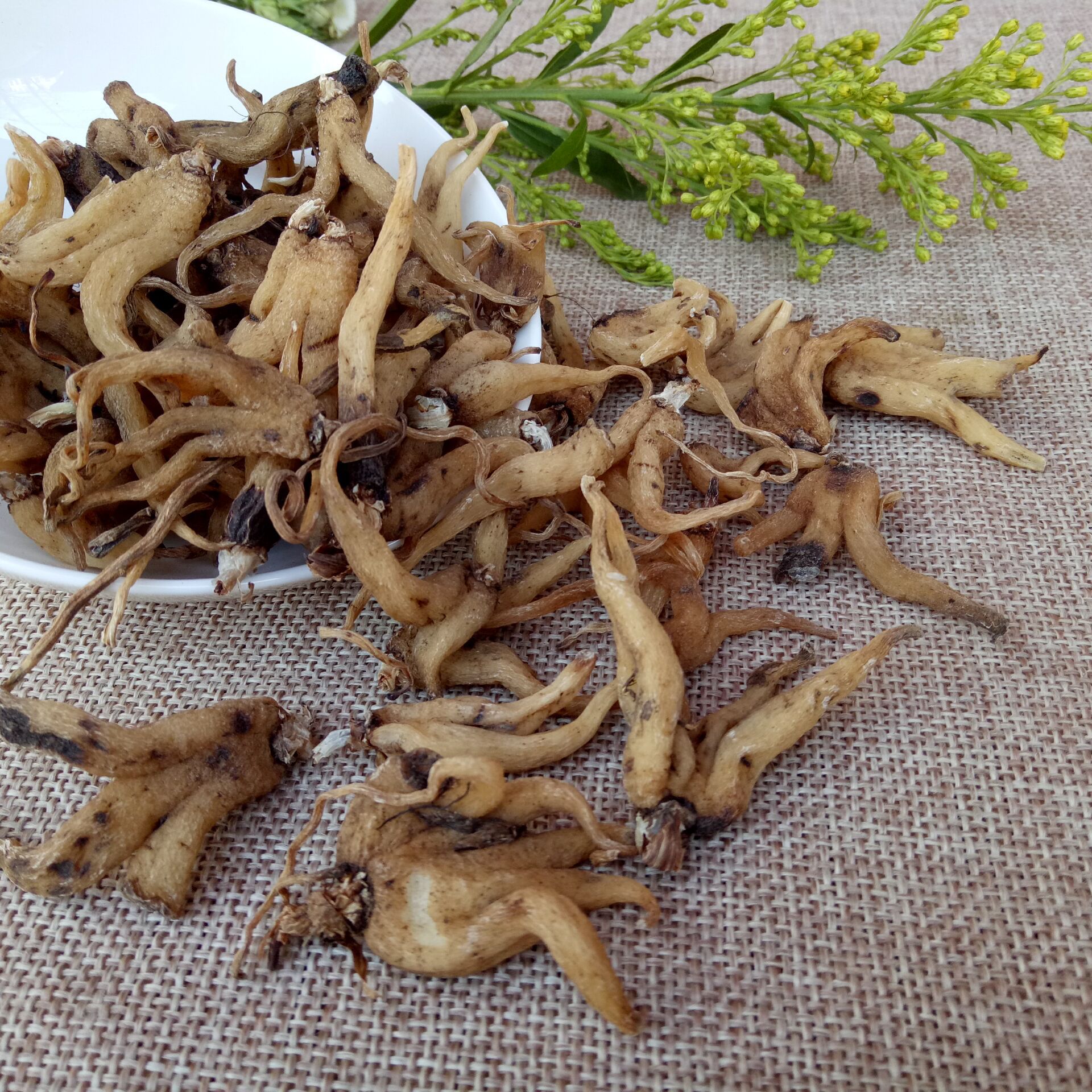 常富中药材 手掌参 佛手参 货干无杂 提供大量现货 价格优惠