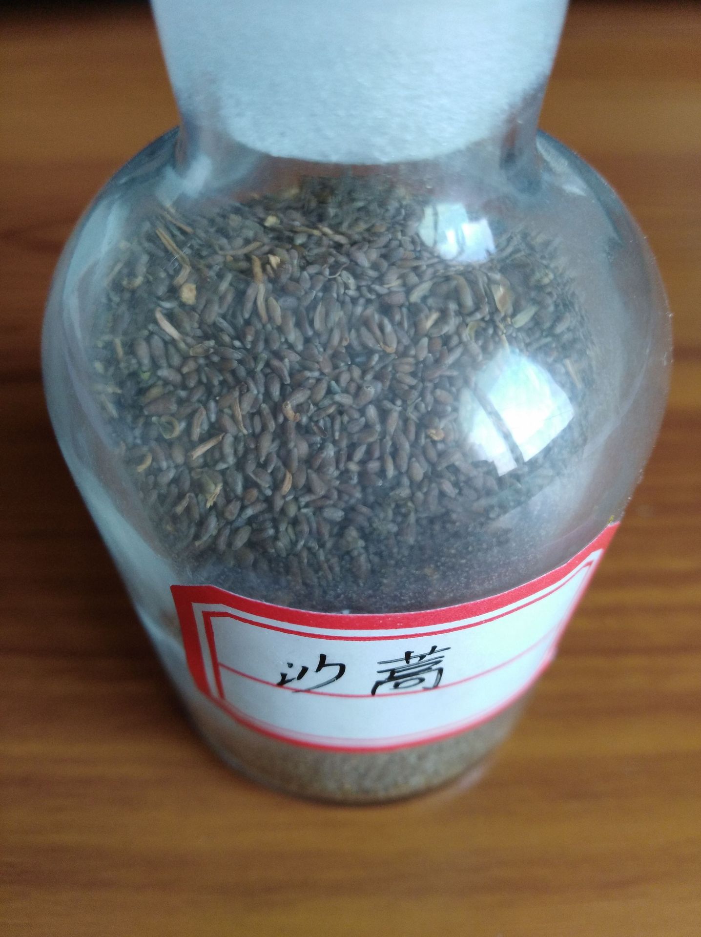 批发牧草种子 沙蒿种子 青沙蒿种籽 黑沙蒿子荒漠沙蒿籽 量大从优