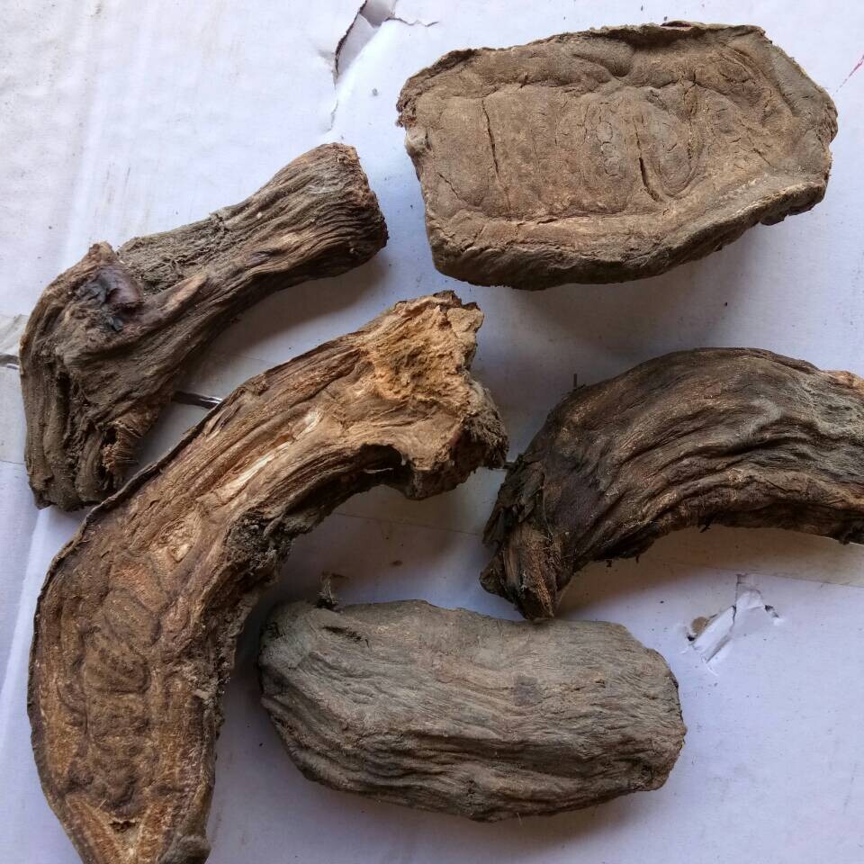 大黄 甘肃大黄批发供应 散装 统 中药材批发 规格齐全 纯正天然