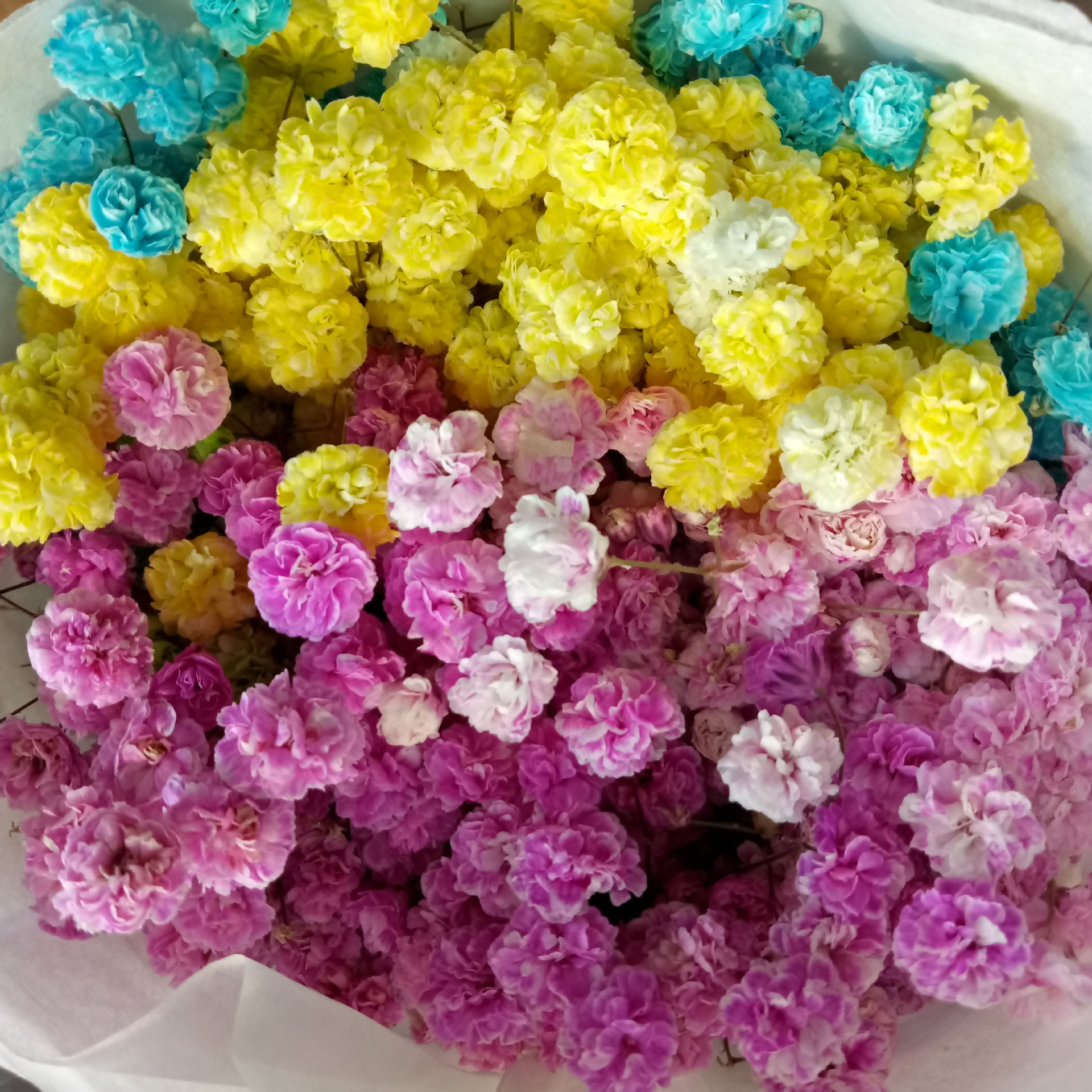 云南有几个鲜花市场图片