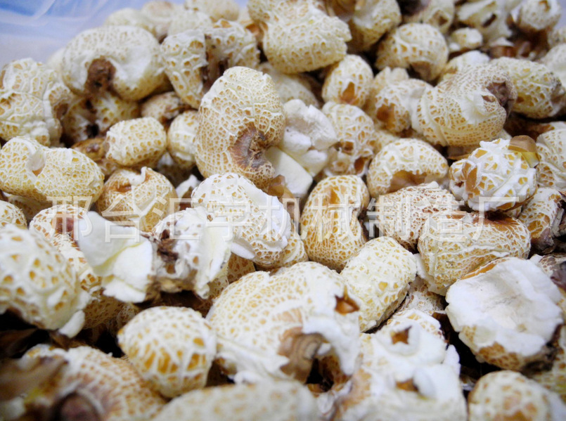 电动老炮3斤5斤手摇 爆米花机 炸米花锅 家用大炮爆米花机包邮