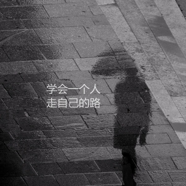 走自己的路,让别人去说吧!