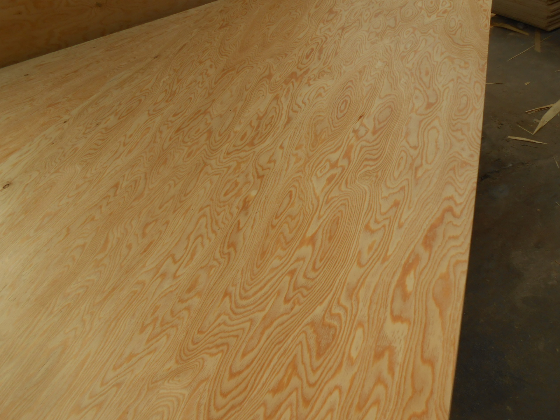 落叶松面多层板 家具板