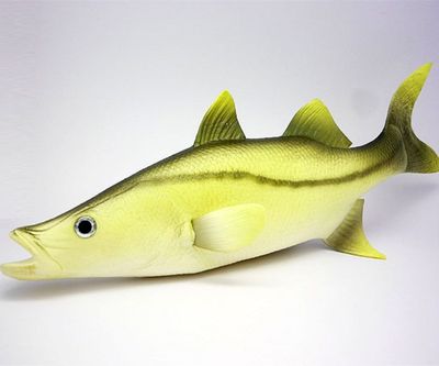 高仿pu真金枪鱼批发生产厂家仿真鱼假鱼模型定做 订做