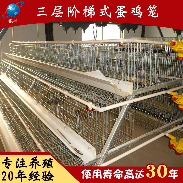 肉鸡笼养鸡的好处有哪些